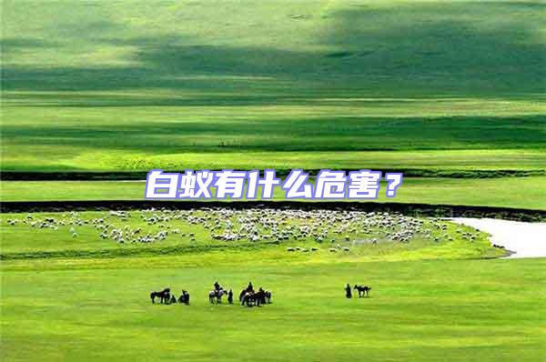 白蟻有什么危害？