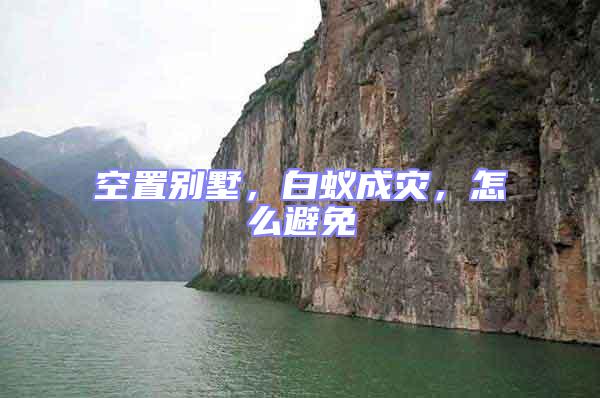 空置別墅,白蟻成災,怎么避免