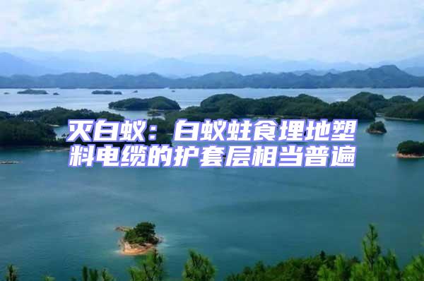 滅白蟻:白蟻蛀食埋地塑料電纜的護(hù)套層相當(dāng)普遍