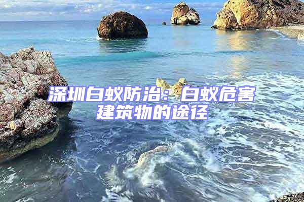 深圳白蟻防治:白蟻危害建筑物的途徑