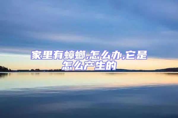 家里有蟑螂,怎么辦,它是怎么產生的