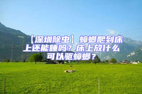 【深圳除蟲】蟑螂爬到床上還能睡嗎？床上放什么可以驅蟑螂？