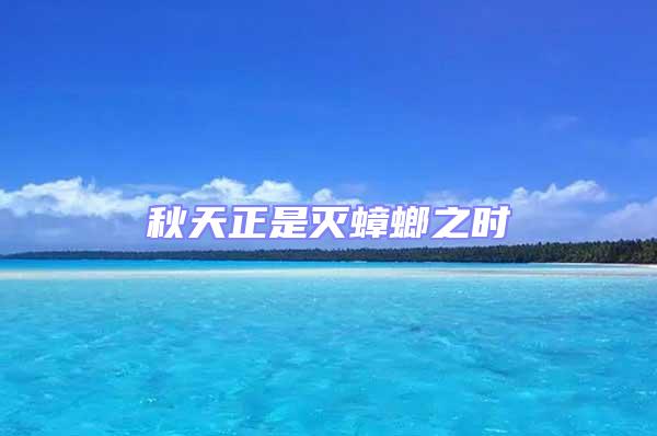 秋天正是滅蟑螂之時