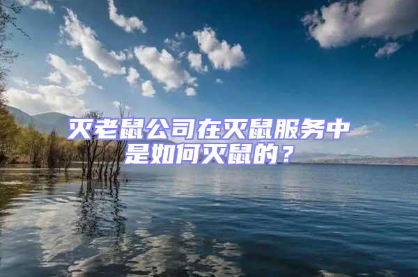 滅老鼠公司在滅鼠服務中是如何滅鼠的？