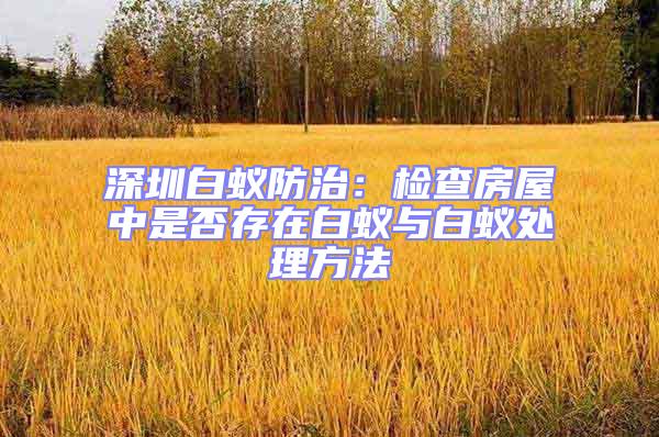 深圳白蟻防治:檢查房屋中是否存在白蟻與白蟻處理方法