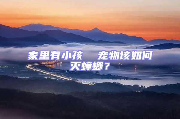 家里有小孩  寵物該如何滅蟑螂？