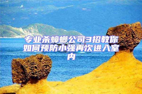 專(zhuān)業(yè)殺蟑螂公司3招教你如何預(yù)防小強(qiáng)再次進(jìn)入室內(nèi)