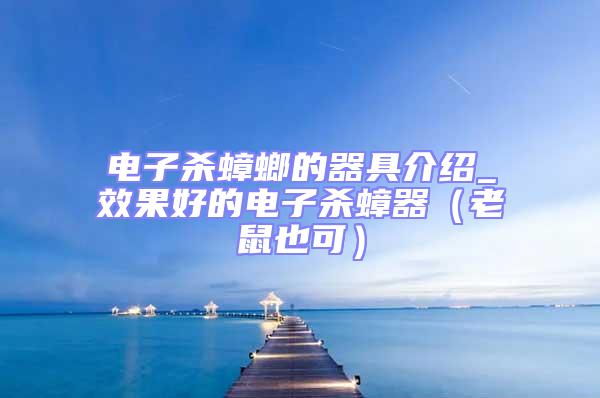 電子殺蟑螂的器具介紹_效果好的電子殺蟑器（老鼠也可）