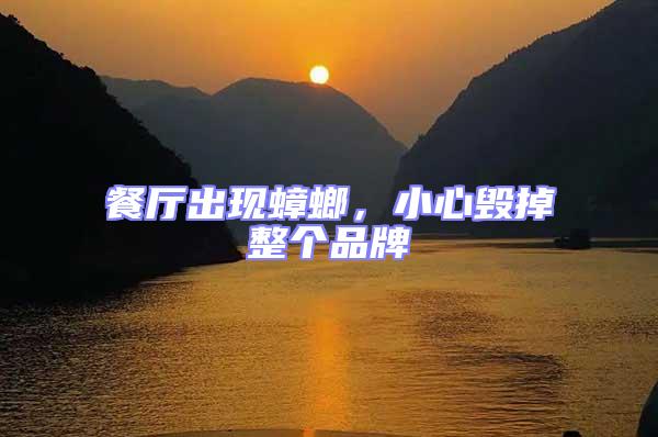 餐廳出現(xiàn)蟑螂，小心毀掉整個品牌