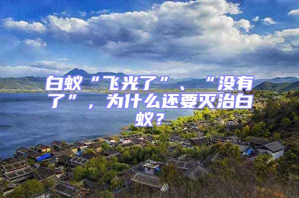 白蟻“飛光了”、“沒有了”,為什么還要滅治白蟻?