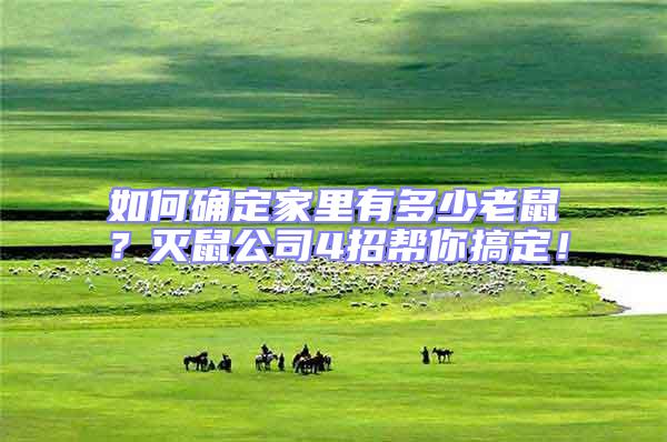 如何確定家里有多少老鼠?滅鼠公司4招幫你搞定!