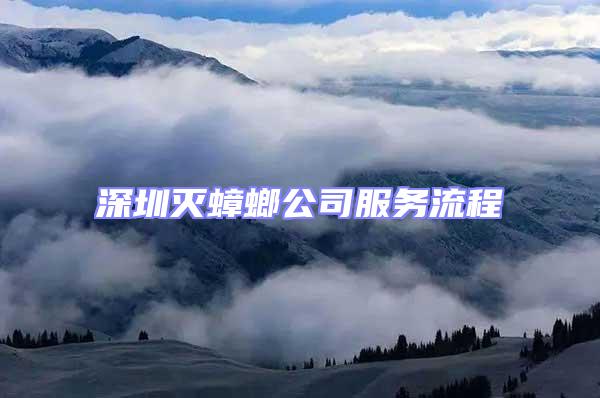 深圳滅蟑螂公司服務流程