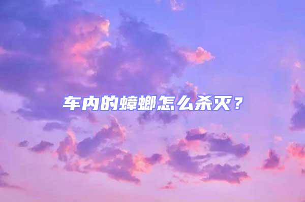 車內(nèi)的蟑螂怎么殺滅?