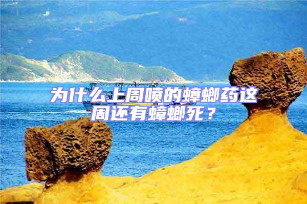 為什么上周噴的蟑螂藥這周還有蟑螂死?