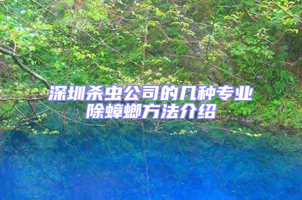 深圳殺蟲公司的幾種專業除蟑螂方法介紹
