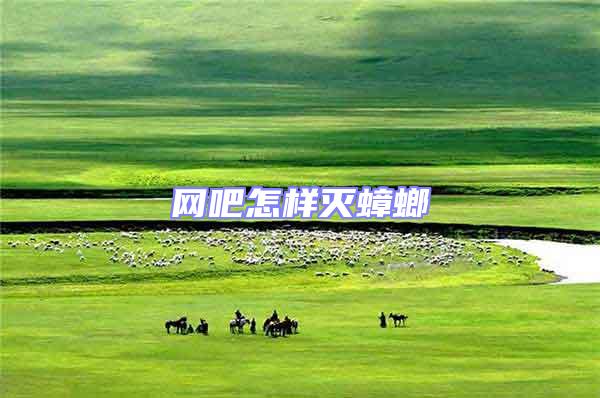 網(wǎng)吧怎樣滅蟑螂