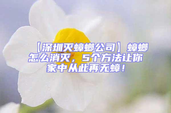 【深圳滅蟑螂公司】蟑螂怎么消滅,5個方法讓你家中從此再無蟑!