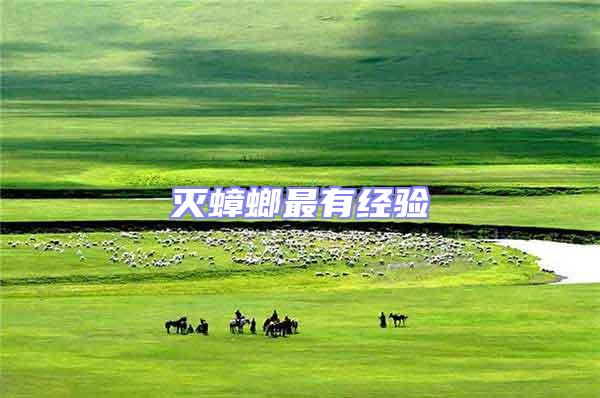 滅蟑螂最有經(jīng)驗(yàn)