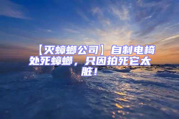 【滅蟑螂公司】自制電椅處死蟑螂，只因拍死它太臟！