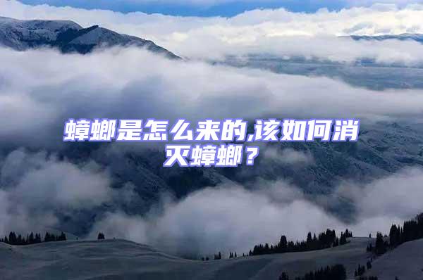 蟑螂是怎么來(lái)的,該如何消滅蟑螂?