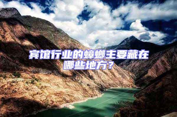 賓館行業的蟑螂主要藏在哪些地方?