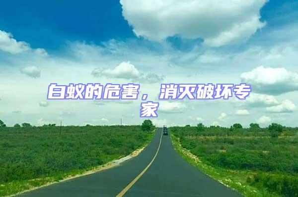 白蟻的危害,消滅破壞專家