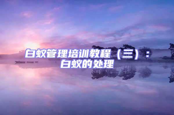 白蟻管理培訓教程(三):白蟻的處理