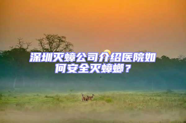 深圳滅蟑公司介紹醫院如何安全滅蟑螂?