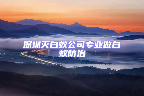 深圳滅白蟻公司專業(yè)做白蟻防治