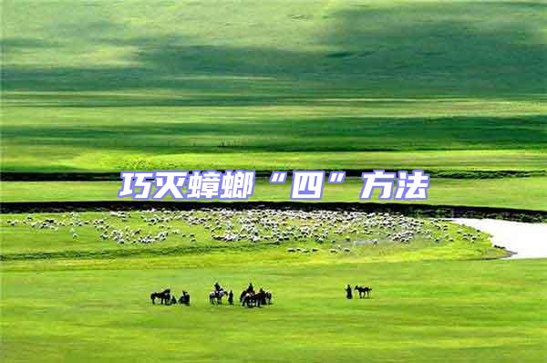 巧滅蟑螂“四”方法