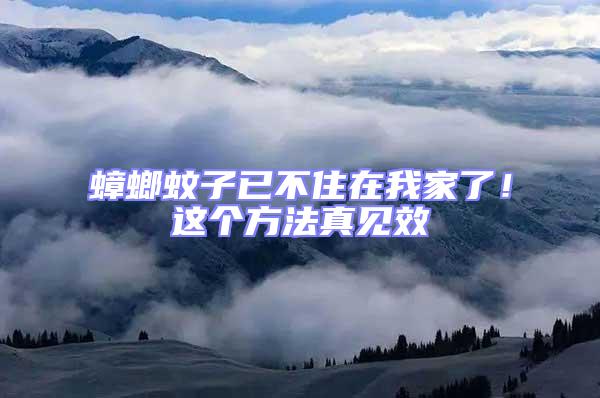 蟑螂蚊子已不住在我家了!這個(gè)方法真見效