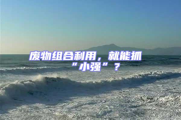 廢物組合利用,就能抓“小強”?