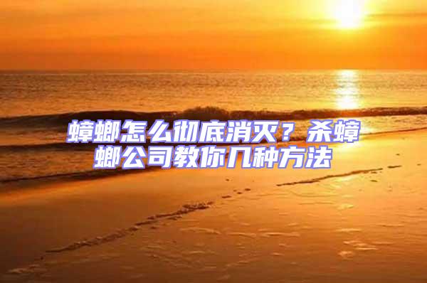 蟑螂怎么徹底消滅？殺蟑螂公司教你幾種方法