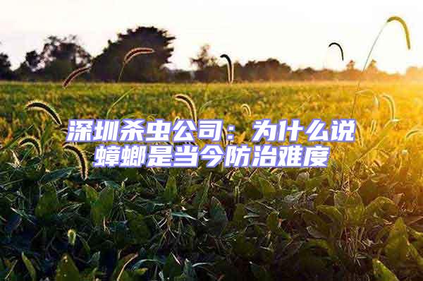 深圳殺蟲公司:為什么說蟑螂是當(dāng)今防治難度