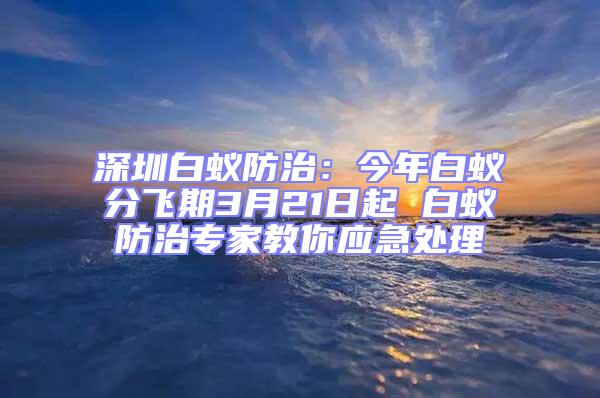 深圳白蟻防治:今年白蟻分飛期3月21日起 白蟻防治專家教你應急處理