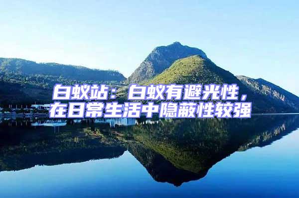白蟻站:白蟻有避光性,在日常生活中隱蔽性較強(qiáng)