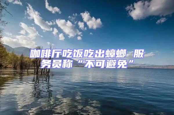 咖啡廳吃飯吃出蟑螂 服務員稱“不可避免”