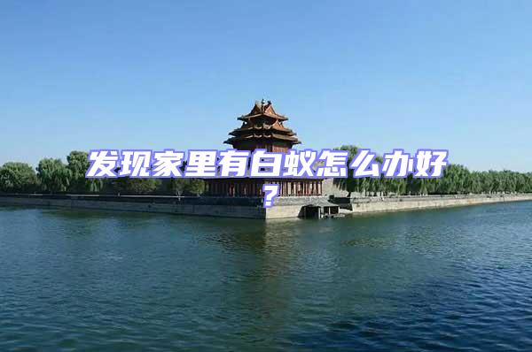 發現家里有白蟻怎么辦好?