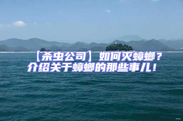 【殺蟲公司】如何滅蟑螂？介紹關于蟑螂的那些事兒！