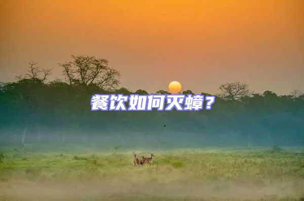 餐飲如何滅蟑？