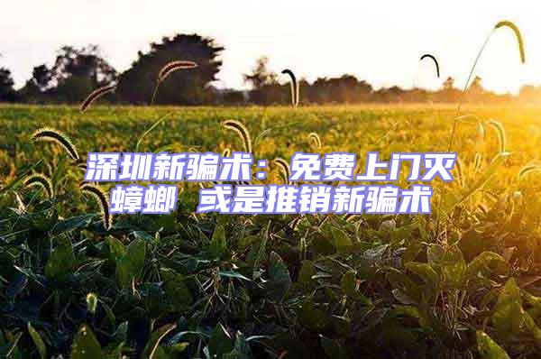 深圳新騙術:免費上門滅蟑螂 或是推銷新騙術