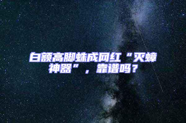 白額高腳蛛成網紅“滅蟑神器”,靠譜嗎?