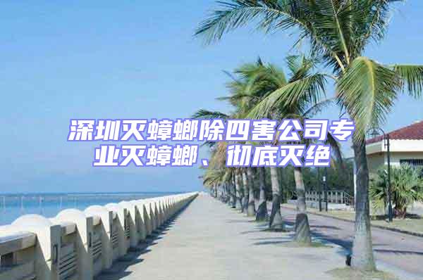 深圳滅蟑螂除四害公司專業(yè)滅蟑螂、徹底滅絕