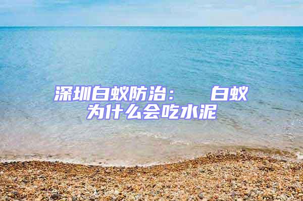 深圳白蟻防治: 白蟻為什么會吃水泥