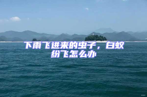 下雨飛進來的蟲子，白蟻紛飛怎么辦