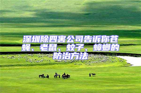 深圳除四害公司告訴你蒼蠅、老鼠、蚊子、蟑螂的防治方法