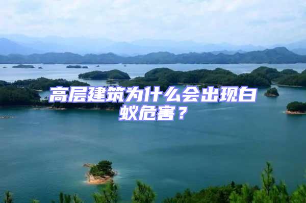 高層建筑為什么會出現(xiàn)白蟻危害？