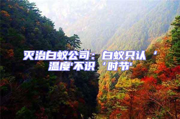 滅治白蟻公司:白蟻只認‘溫度'不識‘時節(jié)'