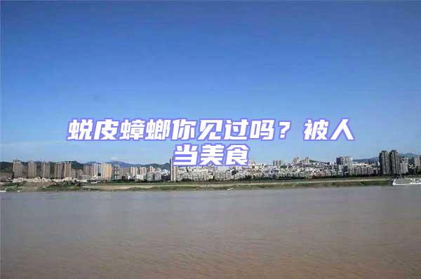 蛻皮蟑螂你見過嗎？被人當美食