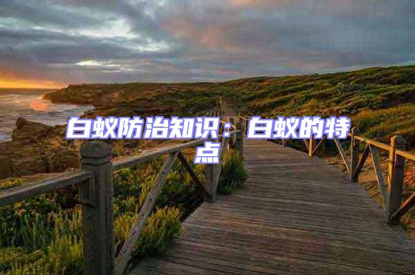 白蟻防治知識:白蟻的特點